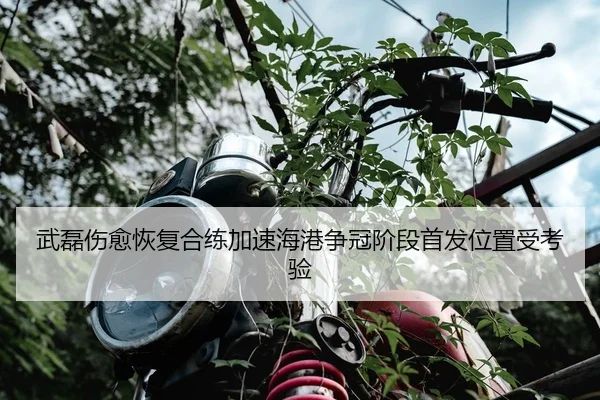 武磊伤愈恢复合练加速海港争冠阶段首发位置受考验